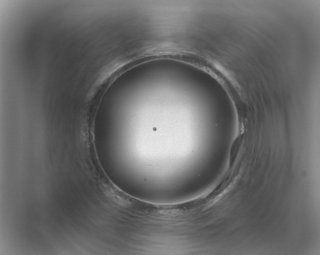 X0000074961453200609152044