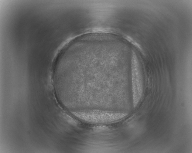 X0000074961454200609152044