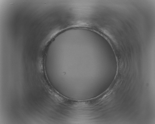 X0000074961455200609152044