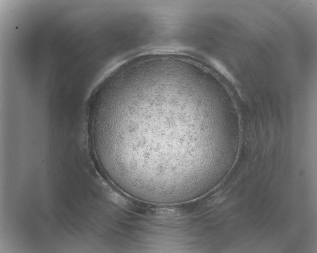 X0000074961456200609152044