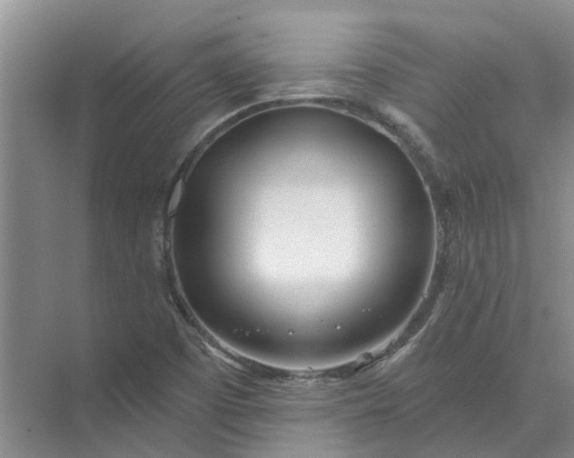 X0000074961457200609152044