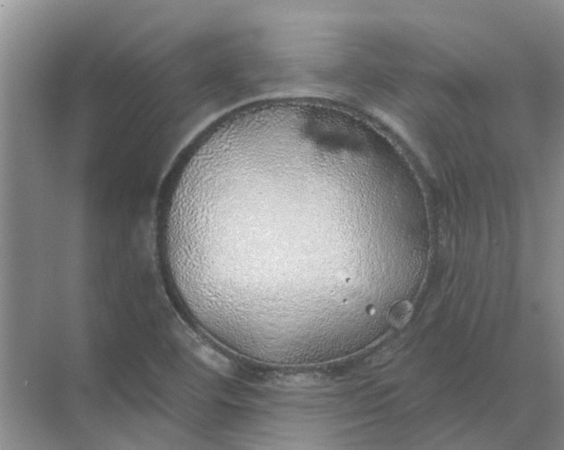 X0000074961460200609152044