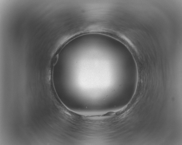 X0000074961461200609152044