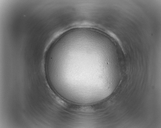 X0000074961464200609152044