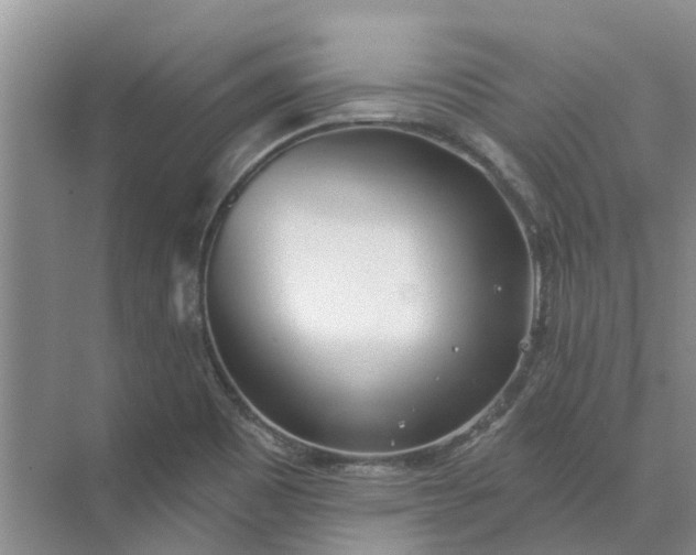 X0000074961465200609152044