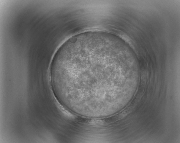 X0000074961466200609152044