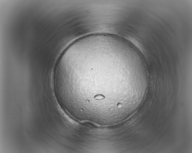 X0000074961468200609152044