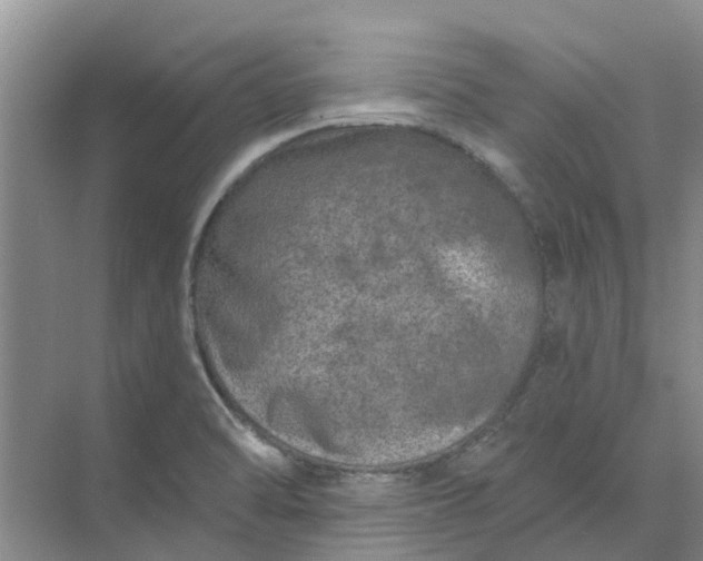 X0000074961470200609152044