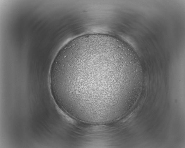 X0000074961471200609152044