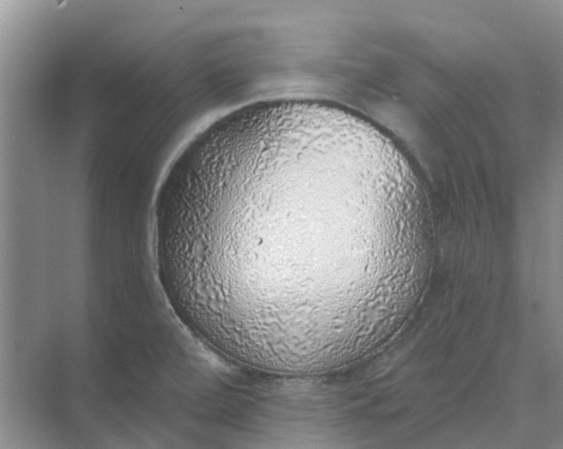 X0000074961472200609152044