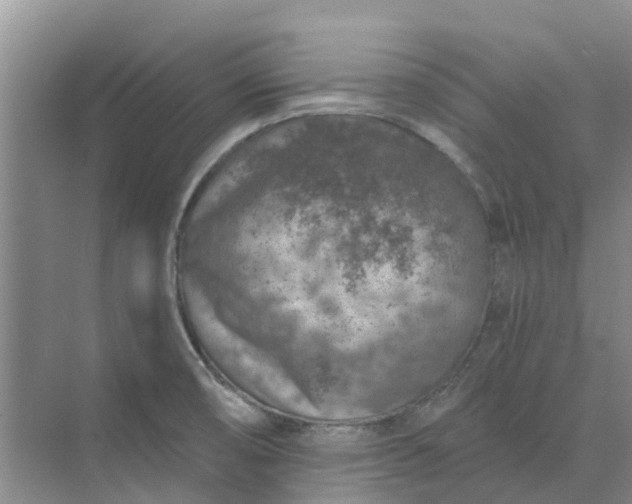 X0000074961474200609152044