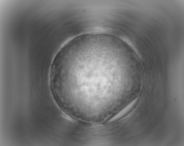 X0000074961477200609152044