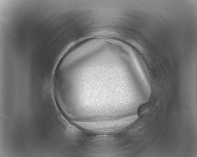 X0000074961478200609152044