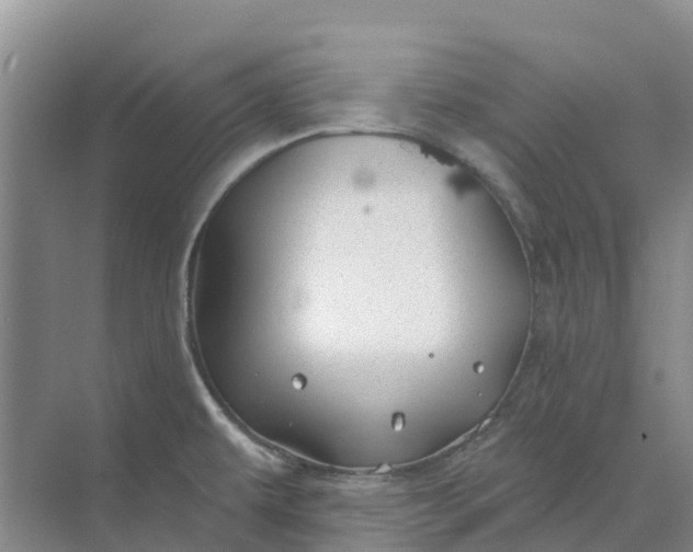 X0000074961479200609152044