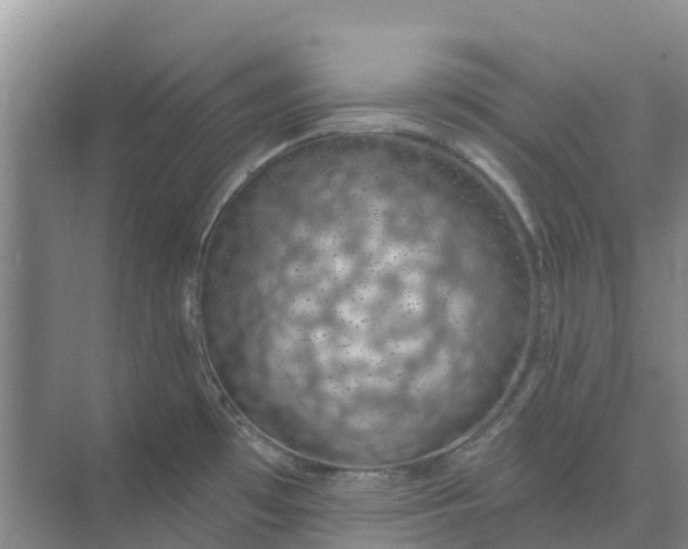 X0000074961481200609152044