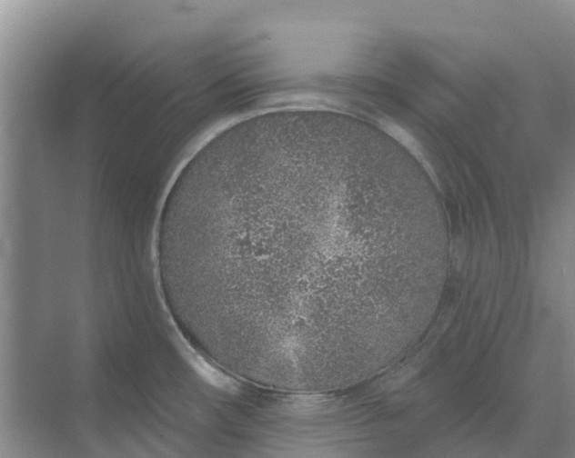 X0000074961482200609152043