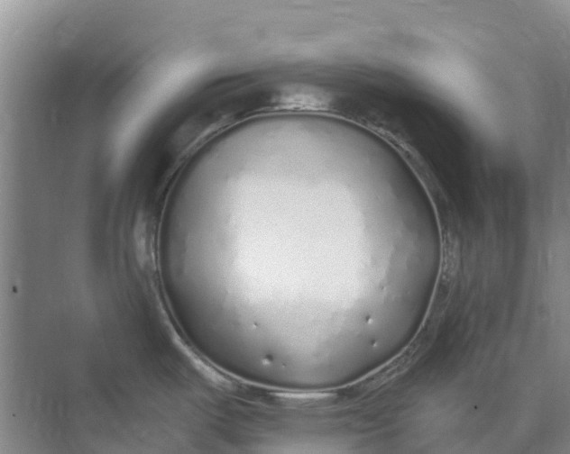 X0000074961487200609152043