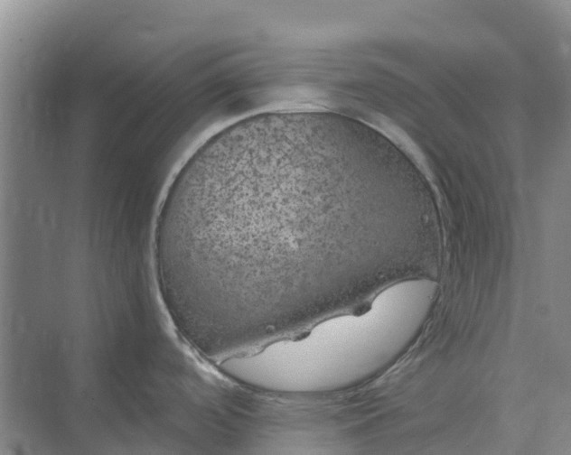 X0000074961488200609152043