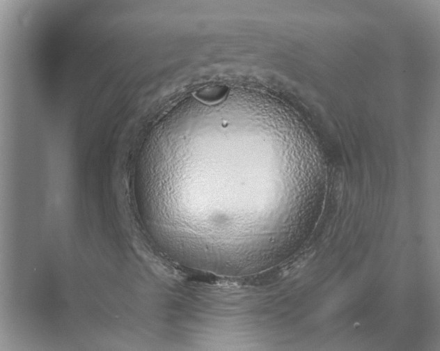 X0000074961489200609152043