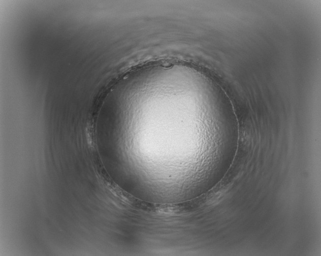 X0000074961490200609152043