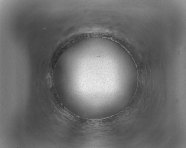 X0000074961493200609152043