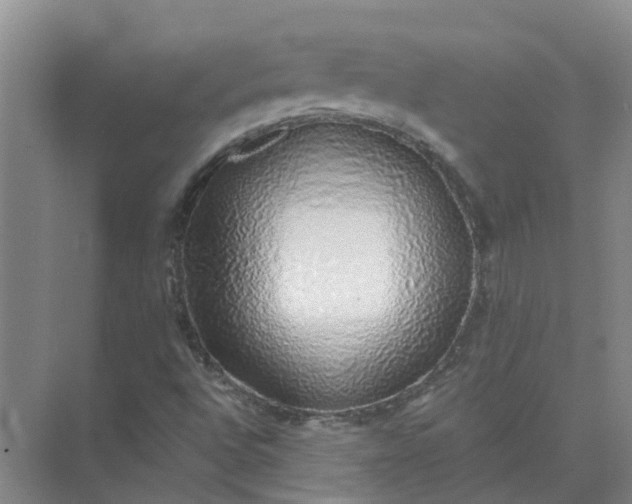 X0000074961496200609152043