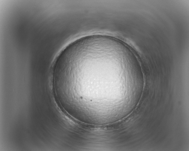 X0000074961504200609152043