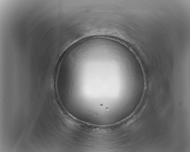 X0000074961505200609152043