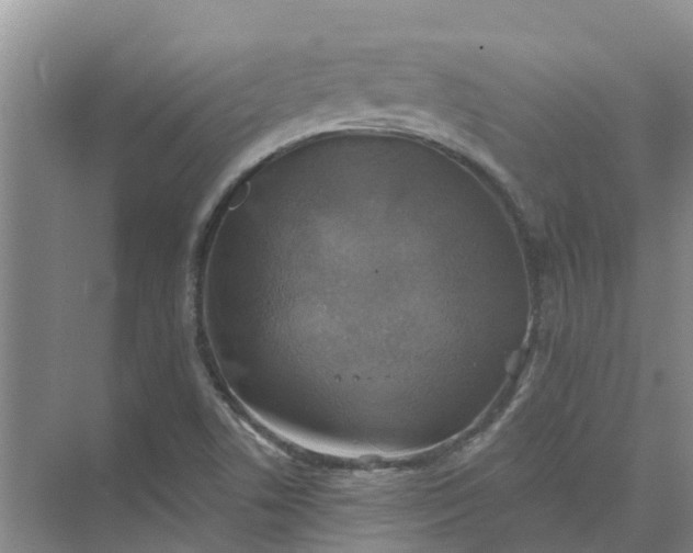 X0000074961506200609152043