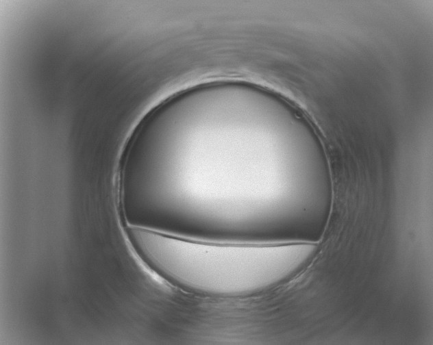 X0000074961519200609152043