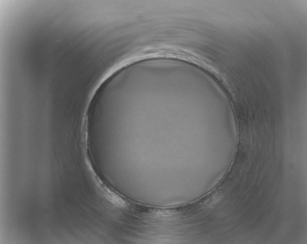 X0000074961522200609152043