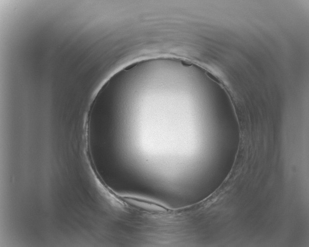 X0000074961524200609152043