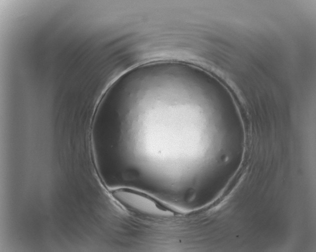 X0000074961529200609152043