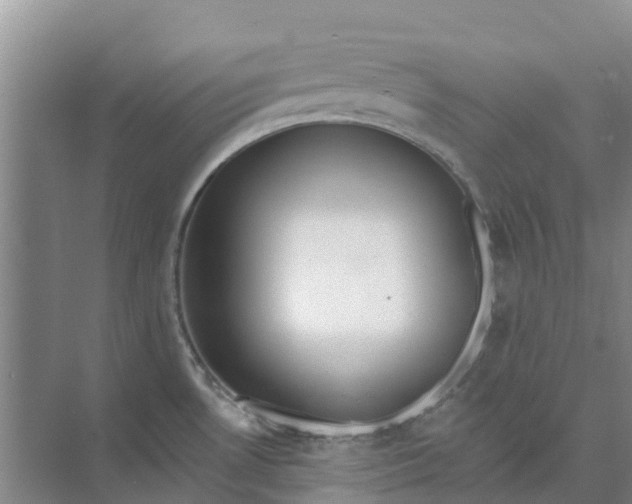 X0000074961530200609152043