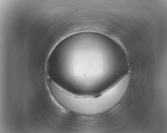 X0000074961532200609152043