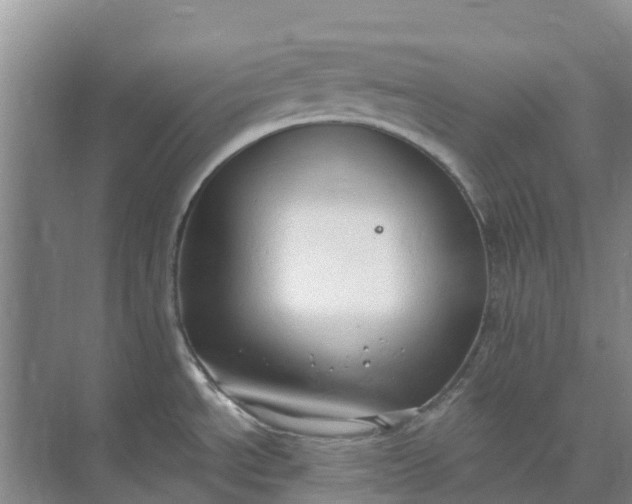 X0000074961534200609152043