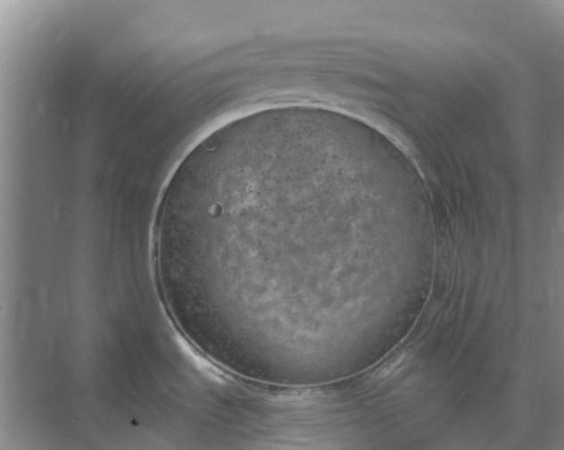 X0000074961535200609152043