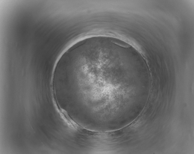 X0000074961536200609152043