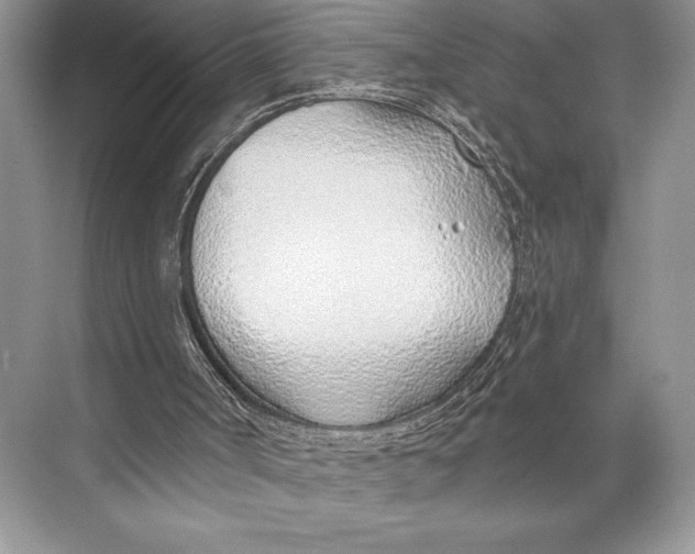 X0000074960002200609221809