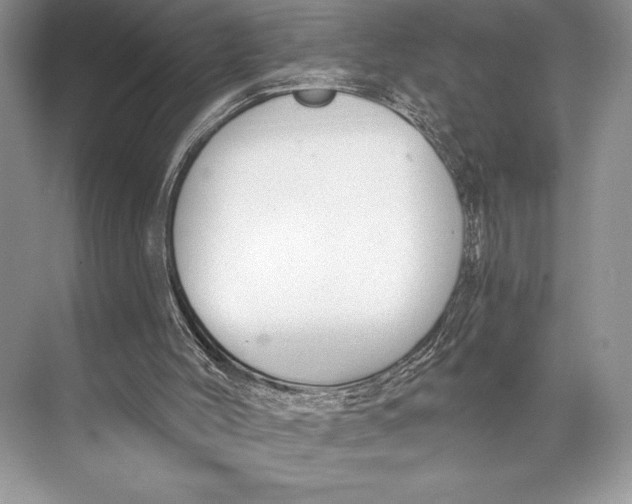 X0000074960004200609221809