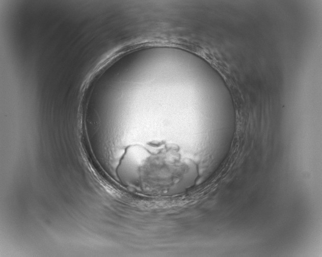 X0000074960005200609221809