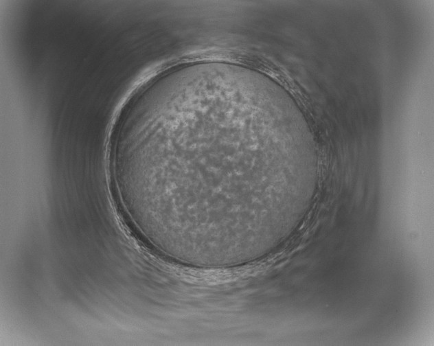 X0000074960006200609221809