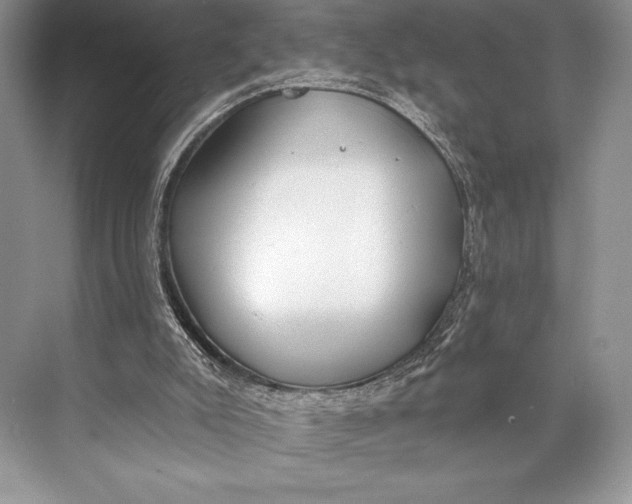 X0000074960007200609221809