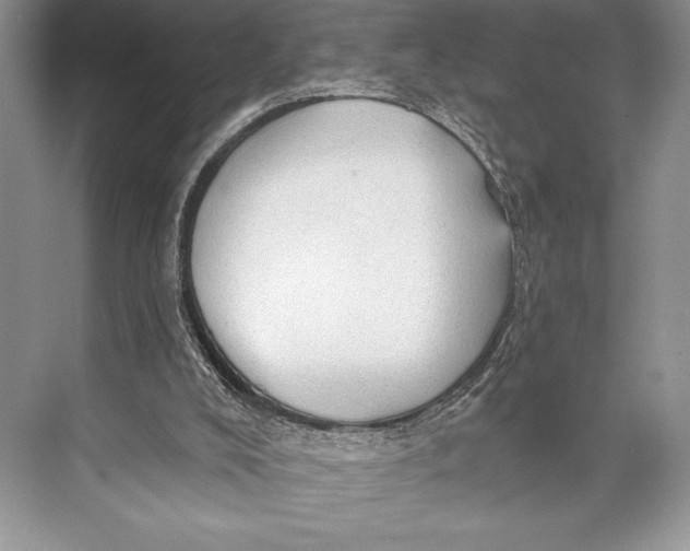 X0000074960008200609221809