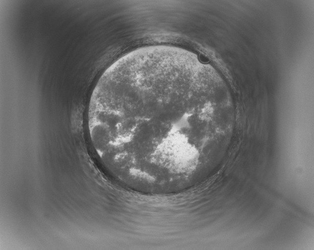 X0000074960010200609221809