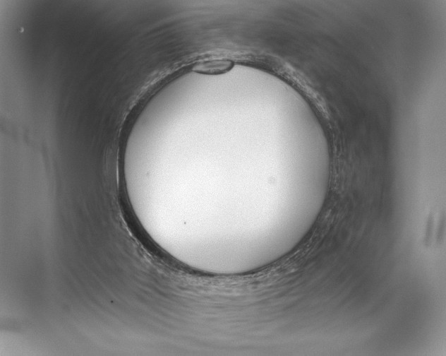 X0000074960011200609221809