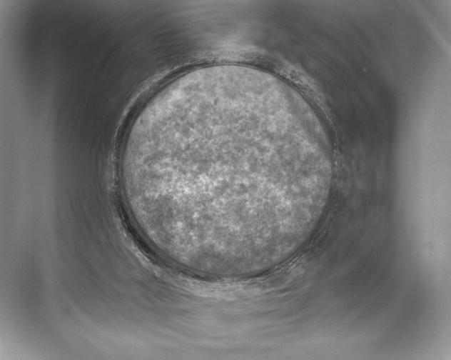 X0000074960012200609221809