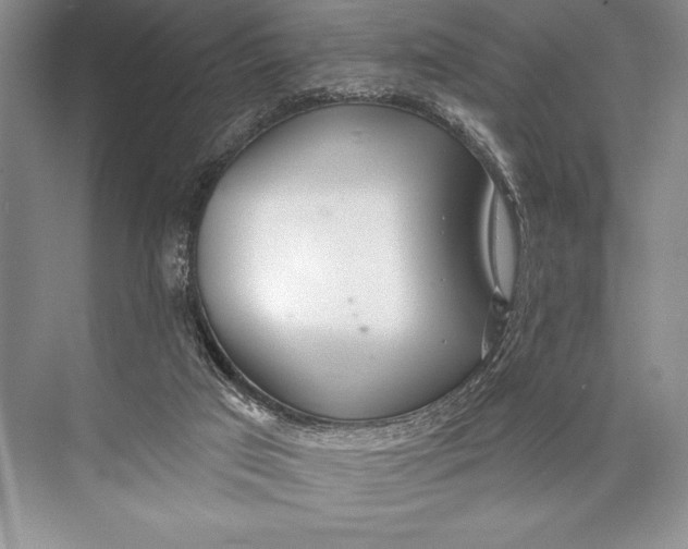 X0000074960017200609221809