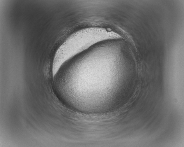 X0000074960018200609221809