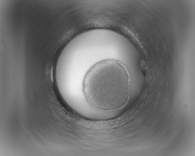 X0000074960019200609221809